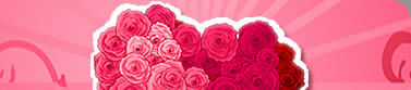 Newsletter CyberCartes
