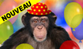 Chimpanzé