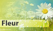 Fête du jour 