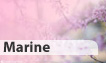 Fête du jour 