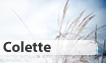 Fête du jour