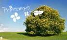 Printemps