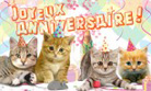 Anniversaire - Chat 