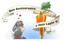 Mon lapin