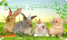 Anniversaire Lapin