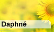 Fête du jour