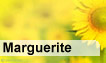 Fête du jour