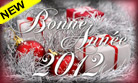 Bonne année 2012