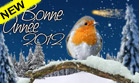 Bonne Année - Oiseau