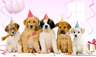 Joyeux anniversaire - Chiens