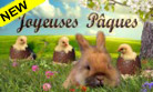 Les oeufs de Pâques