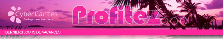Une cybercarte pour toutes les occasions