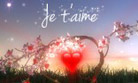 L'arbre de l'amour