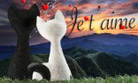 Love Cat