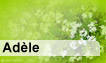 Fête du jour