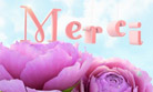 Merci pour ta carte
