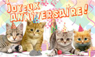 La chorale de chatons