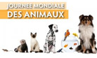 Journée mondiale des animaux - 4 octobre