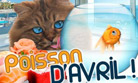 Poisson d'avril