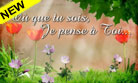 Où que tu sois, je pense à toi