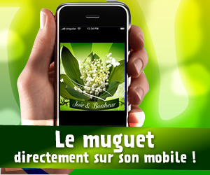 Cartes sur mobile