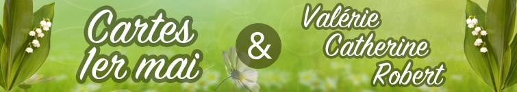 Une cybercarte pour toutes les occasions