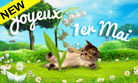 Du muguet et un chaton pour le 1er mai