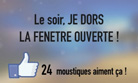 Dormir la fenêtre ouverte... Vive les moustiques