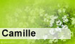 Fête du jour