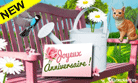http://nqf.cybercartes.com/newsletter_20150729/07