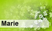 Fête du jour