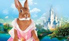 Faites parler le lapin princesse